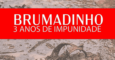 Drama das famílias de desaparecidos em Brumadinho completou 3 anos no dia 25 de janeiro